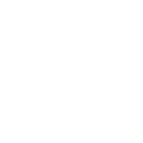 Estudio MIBO